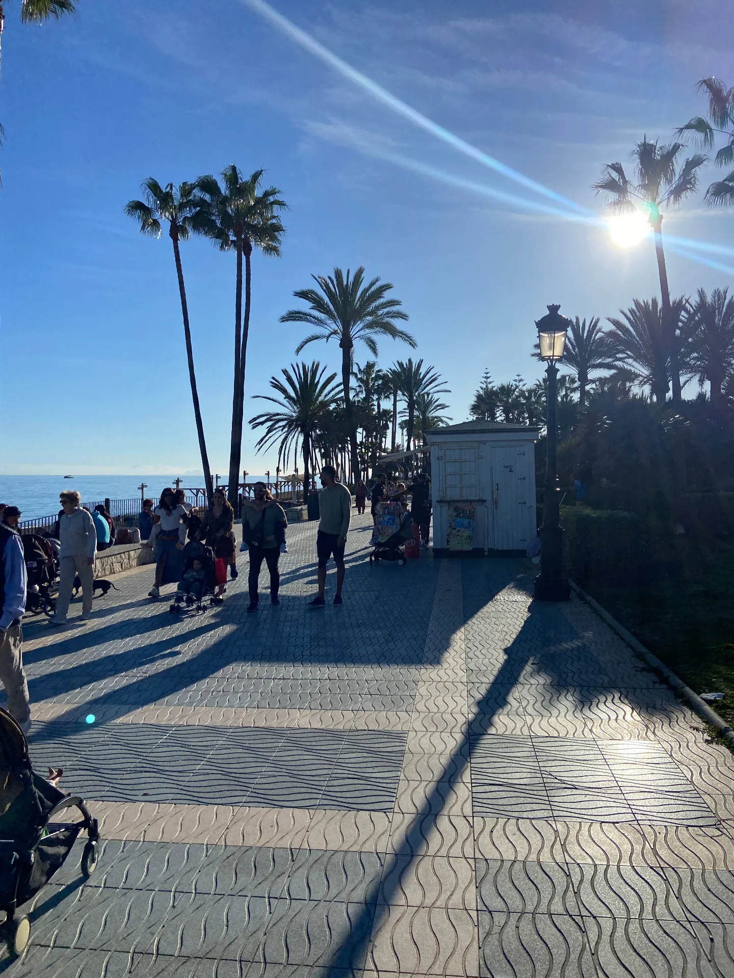 Sunlit palm-lined seafront paseo in San Pedro de Alcántara, Marbella, with people strolling