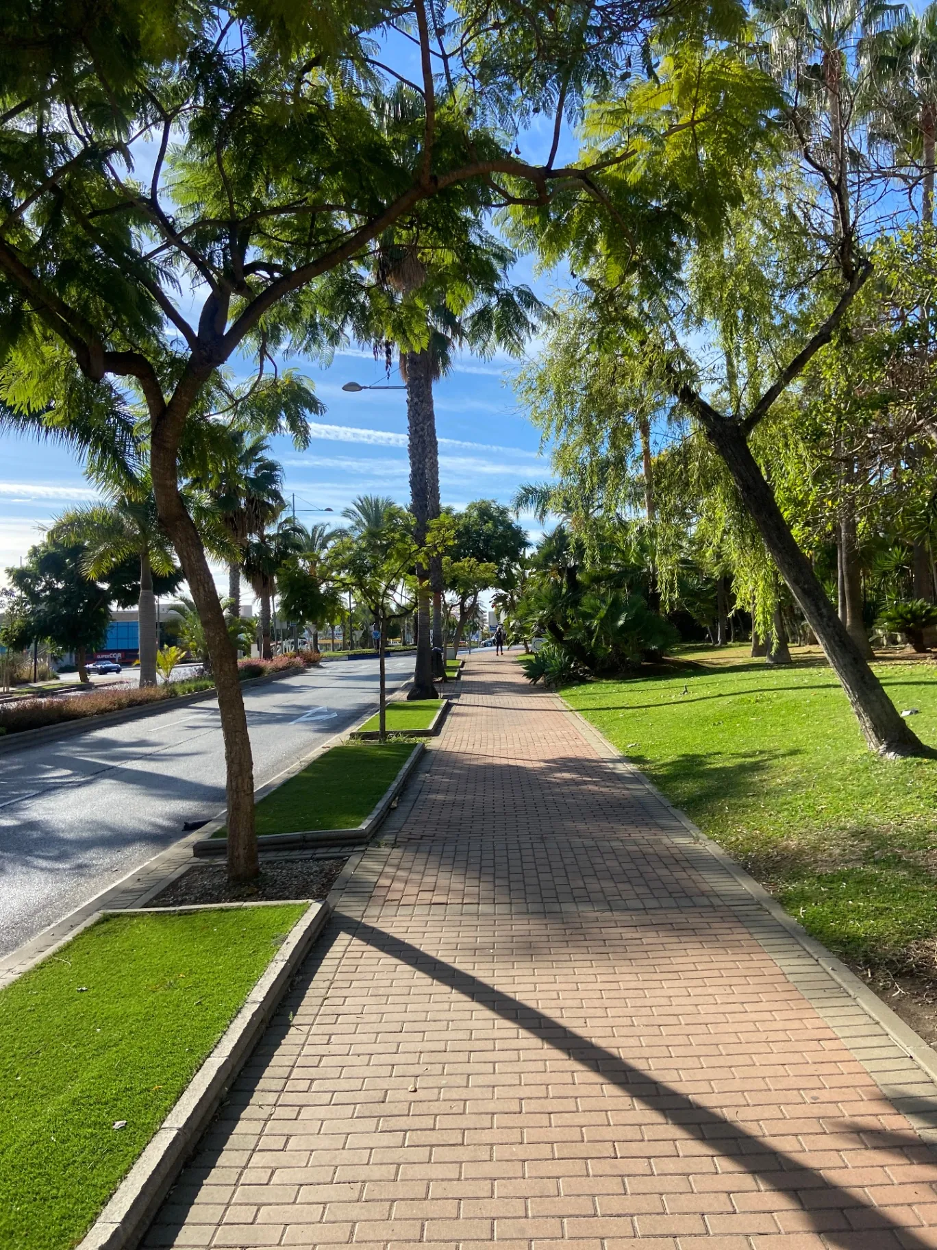 Palm-lined promenade and manicured gardens near Nueva Andalucía and Puerto Banús, Marbella