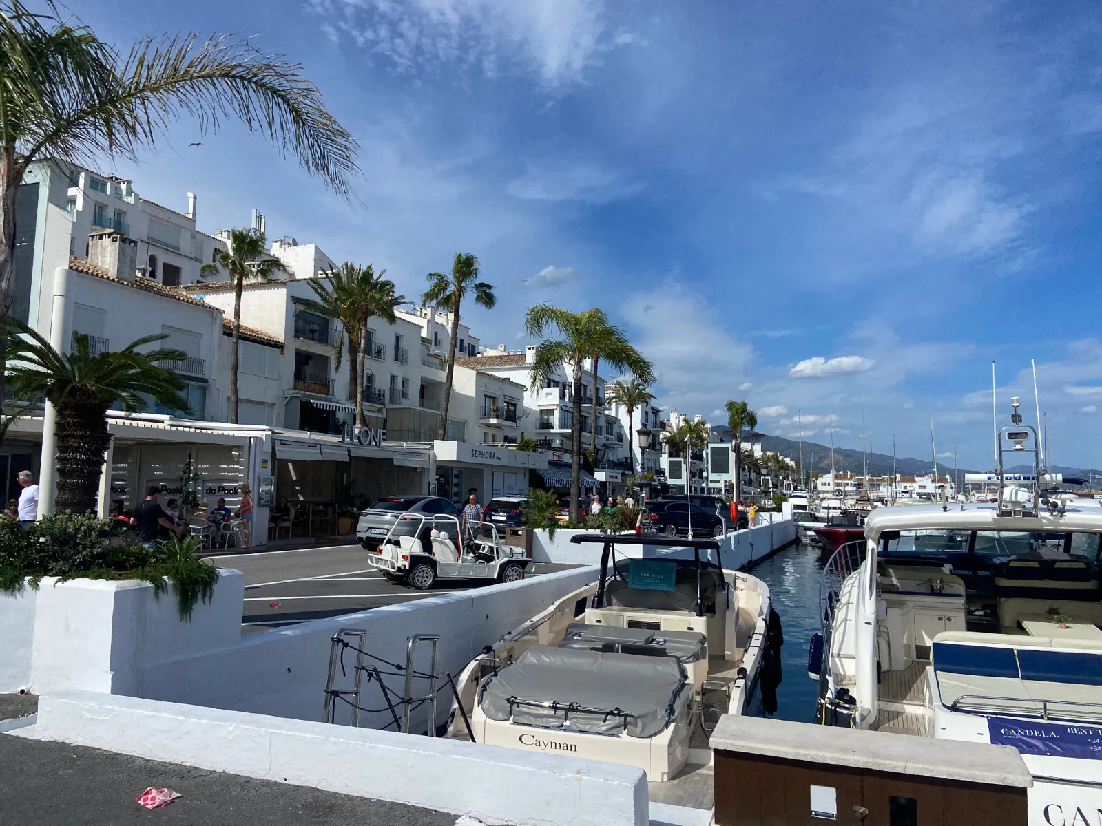Whitewashed buildings, palm trees and boats along the harbour at Puerto Banús