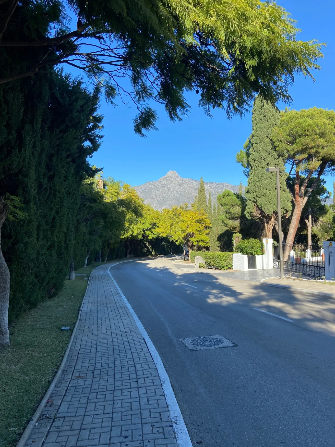 Leafy residential street in Nueva Andalucía, Marbella, with La Concha mountain in the distance